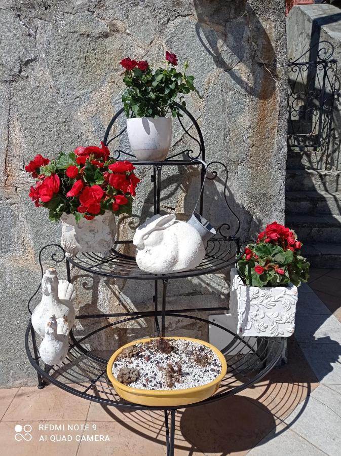 Casa Dell'Aura Bed & Breakfast Chiavari Bagian luar foto